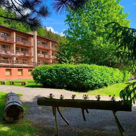 Horsky Hotel Podjavornik Papradno エクステリア 写真