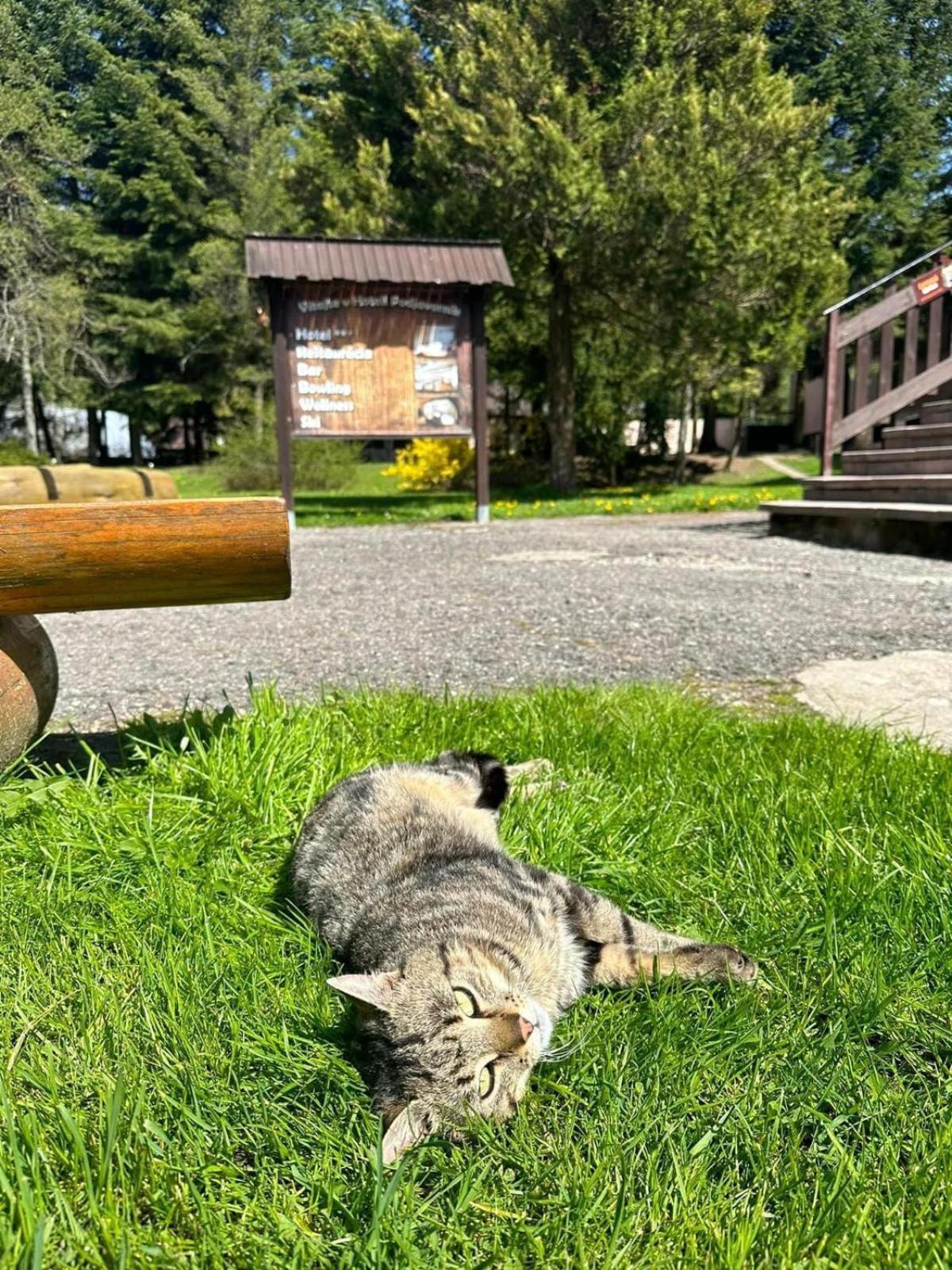 Horsky Hotel Podjavornik Papradno エクステリア 写真