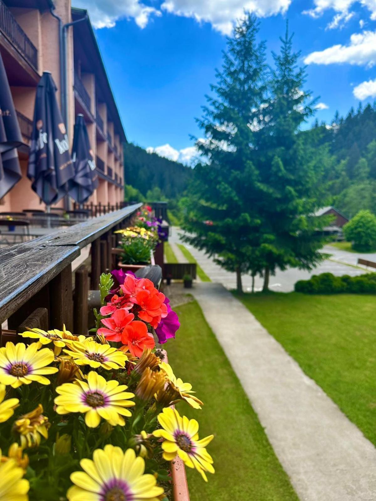 Horsky Hotel Podjavornik Papradno エクステリア 写真